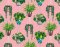 ohpopsi Houseplant Bubblegum Wallpaper GRA50109W