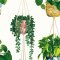 ohpopsi Houseplant Parakeet Wallpaper GRA50112W