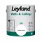 Leyland Retail Brilliant White Silk Paint