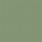 Sanderson Canopy Green Paint