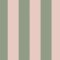 Canopy Stripe Green & Pink wallpaper with bold green and pink stripes