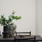 Interior room painted in Craig & Rose Barony with a warm minimalist look