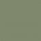 Flat image of Craig & Rose Deep Adam Green paint with a rich green finish