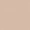 Flat image of Craig & Rose Fresh Plaster paint with a warm natural finish