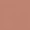 Next Deep Coral Paint
