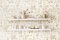 Blossom Almond Wallpaper featuring a soft floral design in muted neutral shades.
