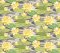 OHPOPSI Waterlily Charcoal & Mustard Wallpaper IKA50105W